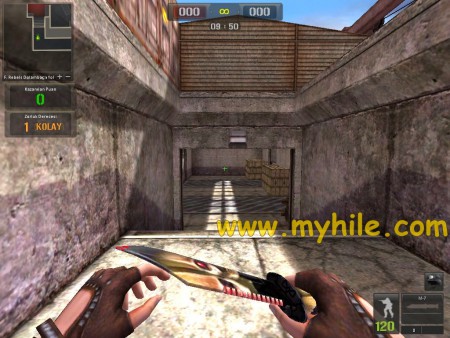 Point Blank Gökkuşağı 3 Adet Silah Skini 